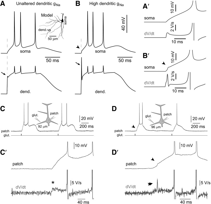 FIG. 9.