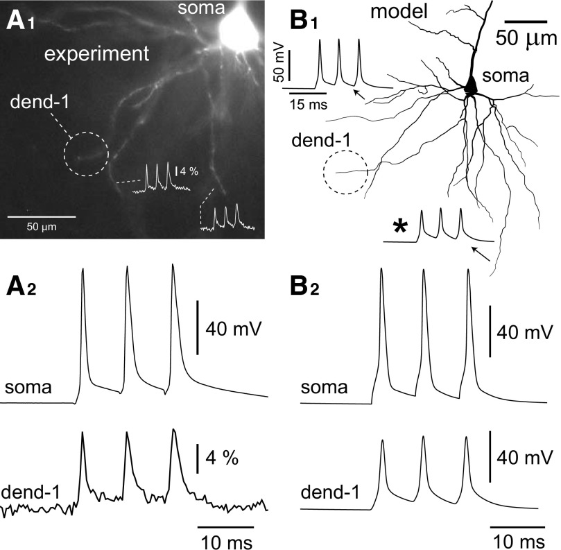 FIG. 8.