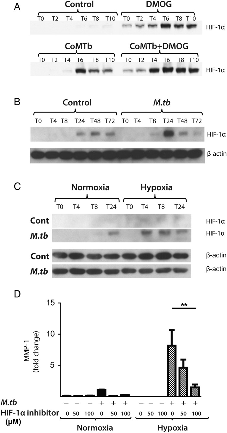 Figure 5