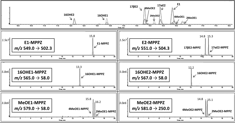 Fig. 4