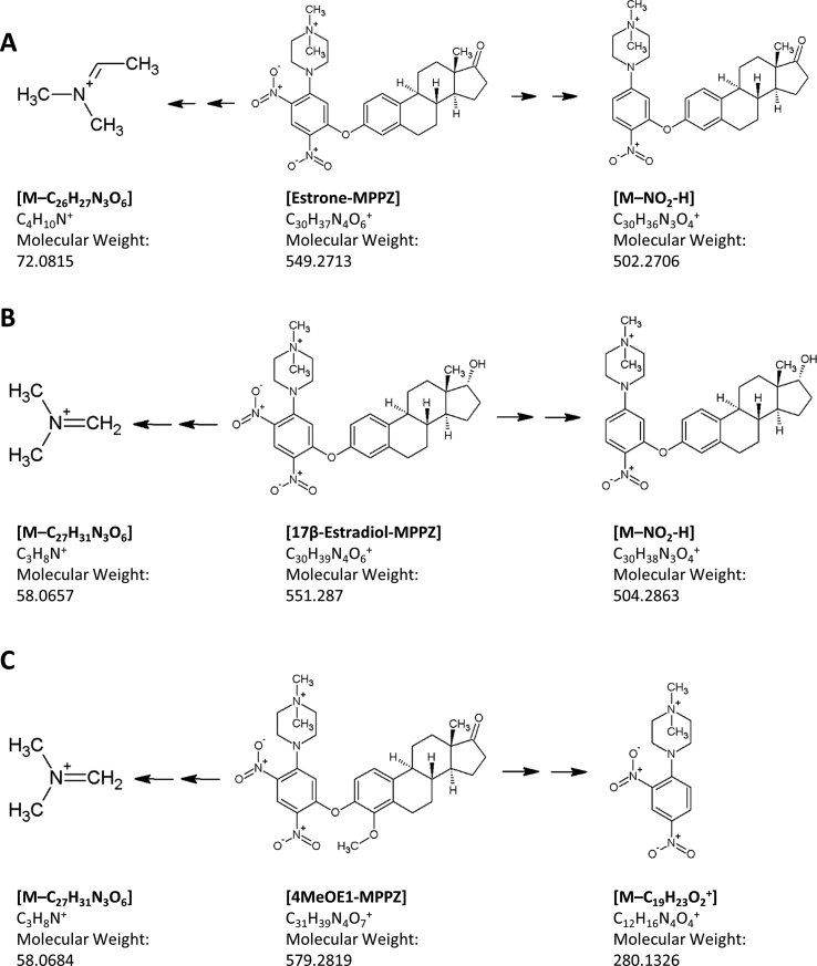 Fig. 3