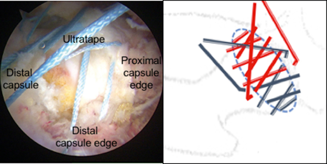 Fig 6