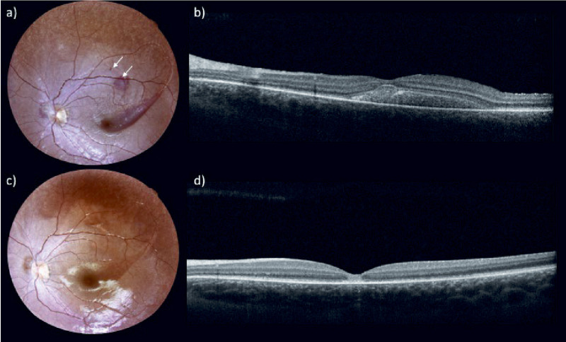 Figure 4.