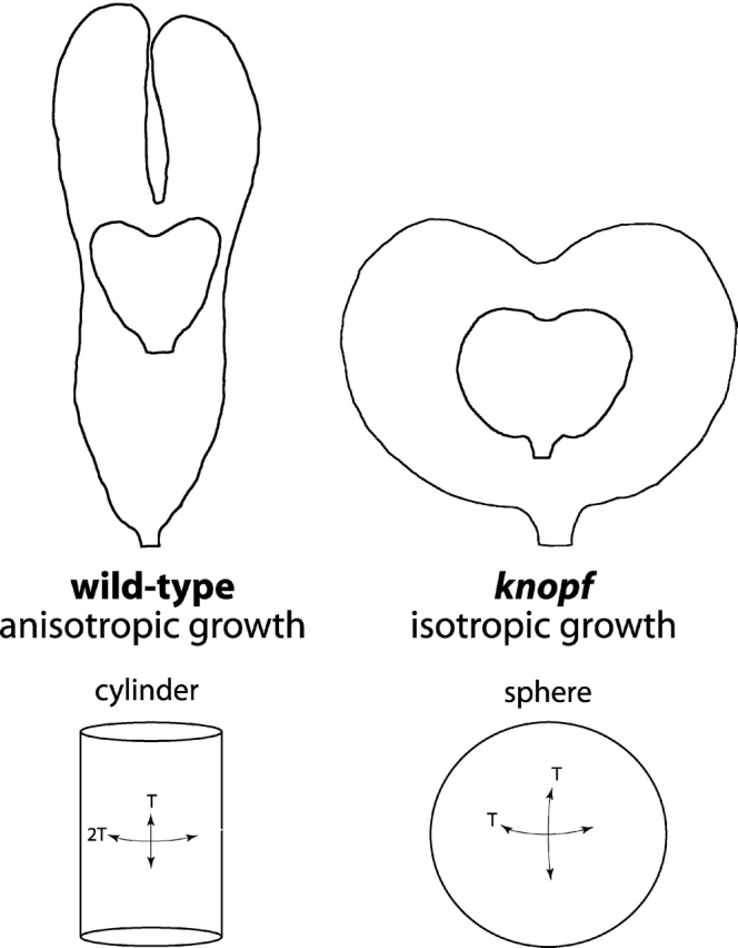 Figure 8.