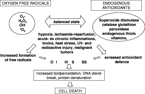 Figure 1)