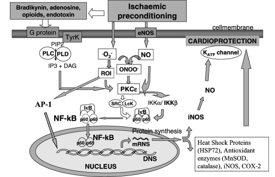 Figure 2)