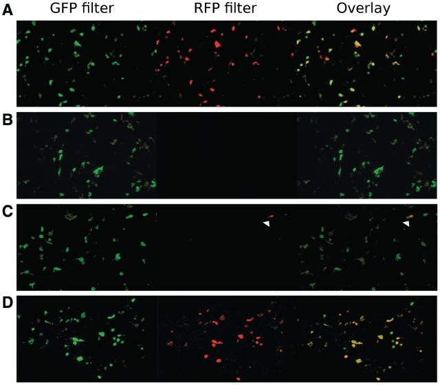 Figure 4.