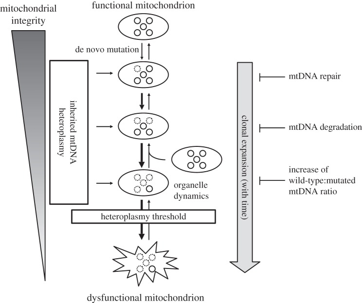 Figure 1.