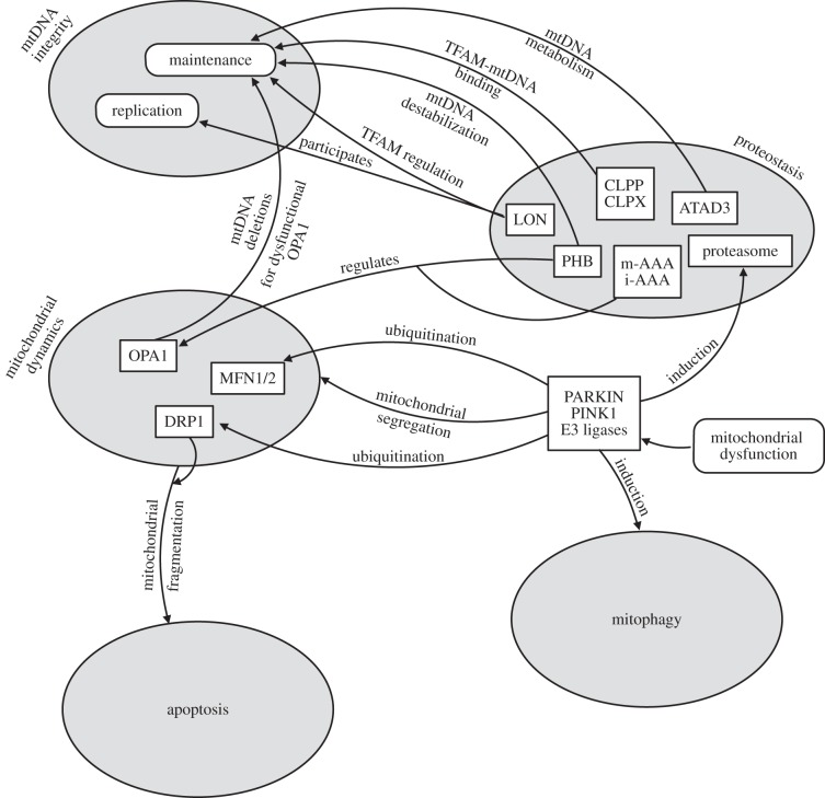 Figure 2.