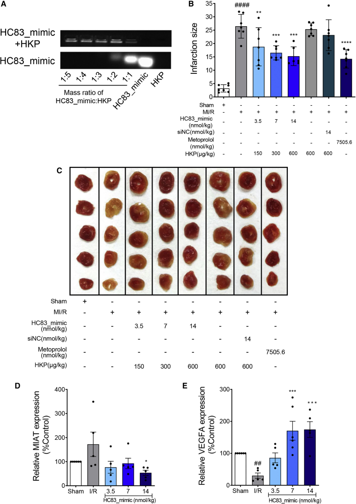 Figure 7