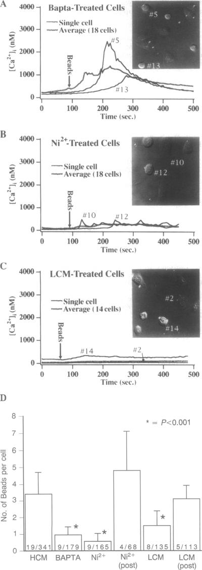 graphic file with name pnas01139-0394-a.jpg