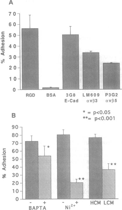 graphic file with name pnas01139-0394-b.jpg