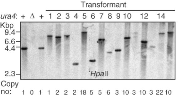 Figure 5