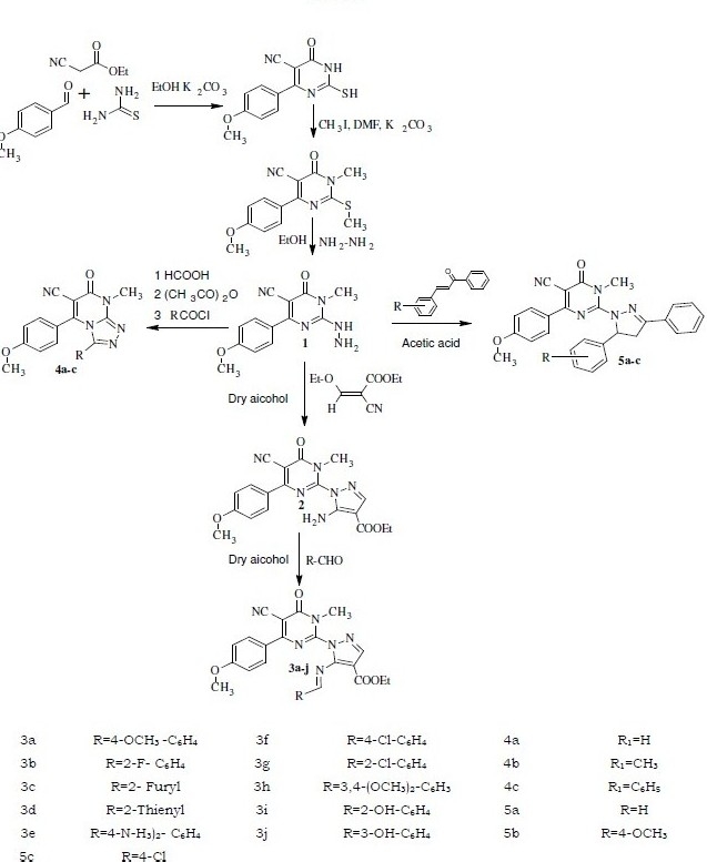 Scheme I