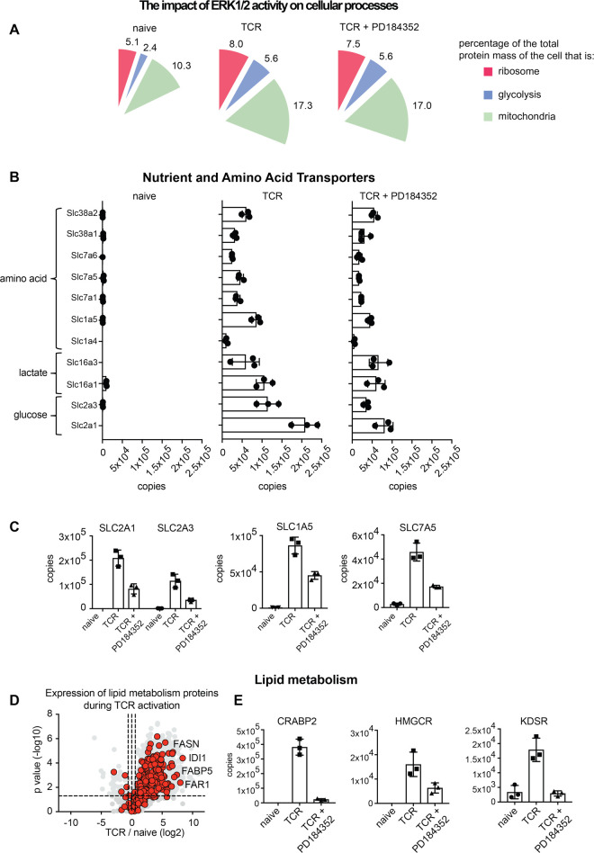 Figure 4.