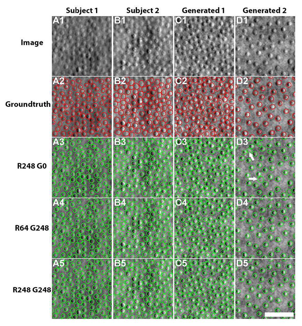 Fig. 7.