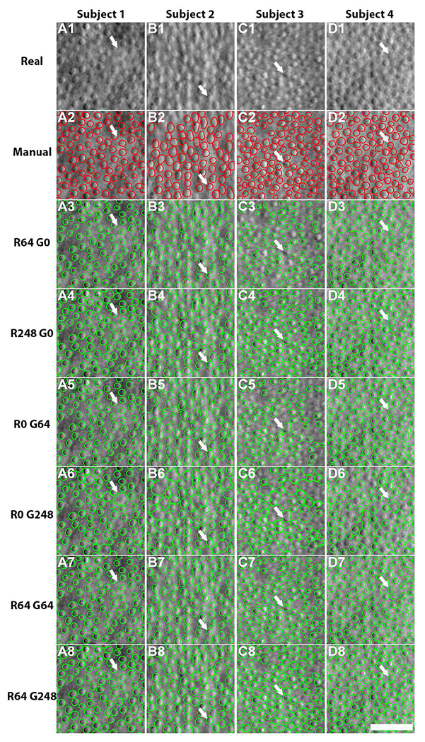 Fig. 6.