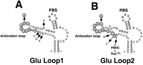 FIG. 6.