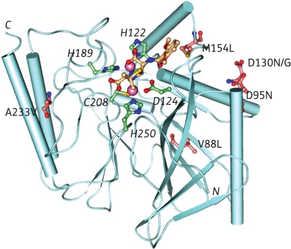 Figure 1.