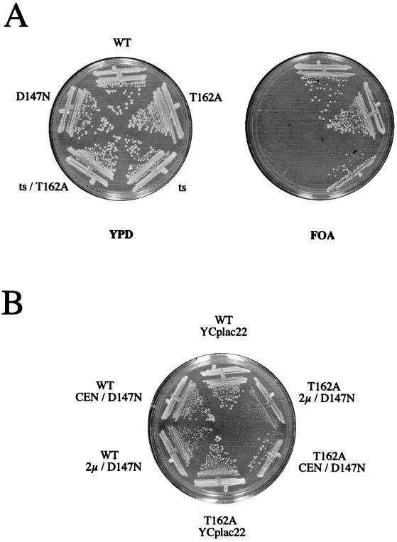 FIG. 5