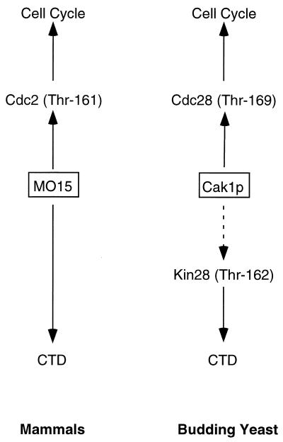 FIG. 10