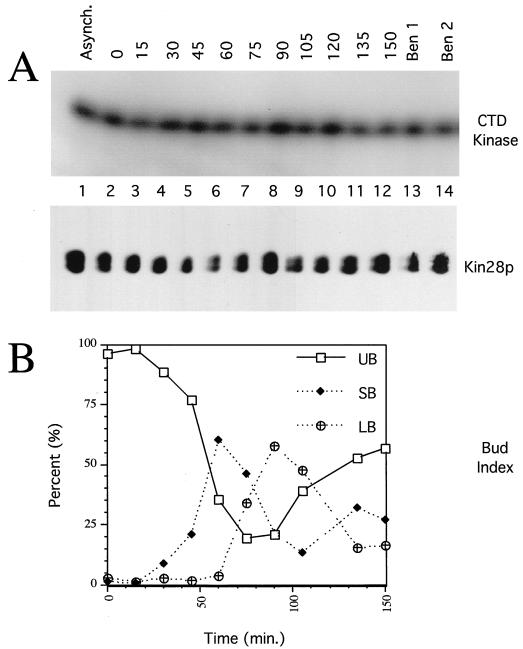 FIG. 7