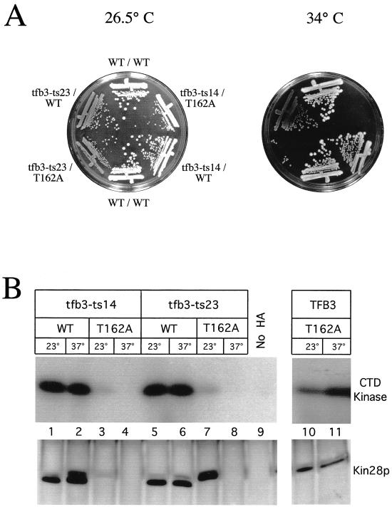 FIG. 6