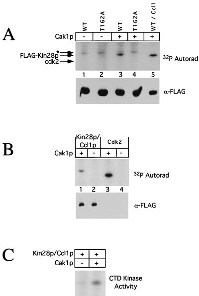 FIG. 9