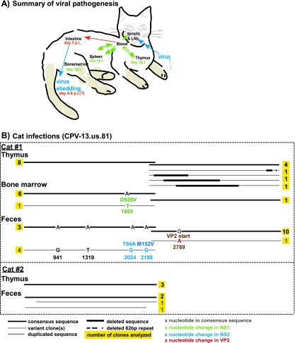 FIG. 4.