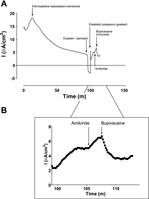 Fig. 3.