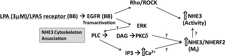 Fig. 12.