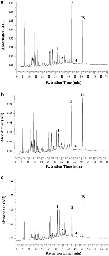 Fig. 1