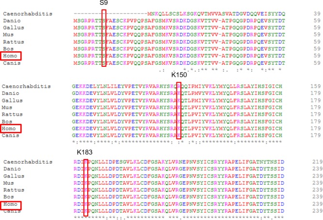 Figure 2—figure supplement 2.