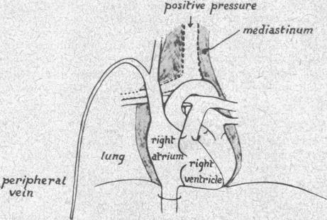 Fig. 11