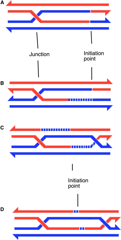 Figure 1.—