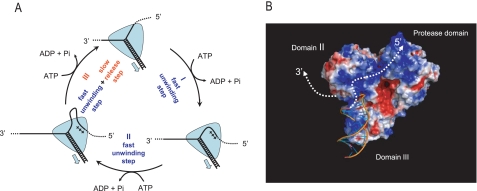 FIGURE 12.