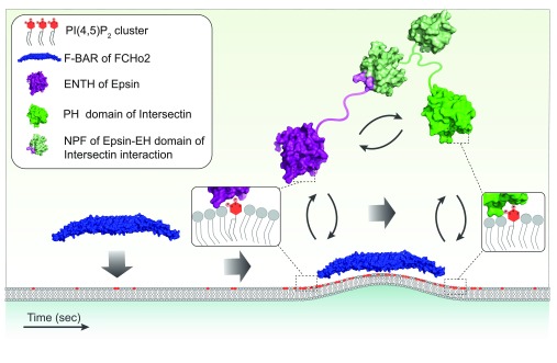 Figure 3. 