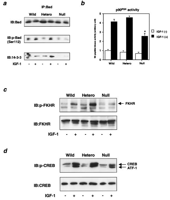 FIG. 8.