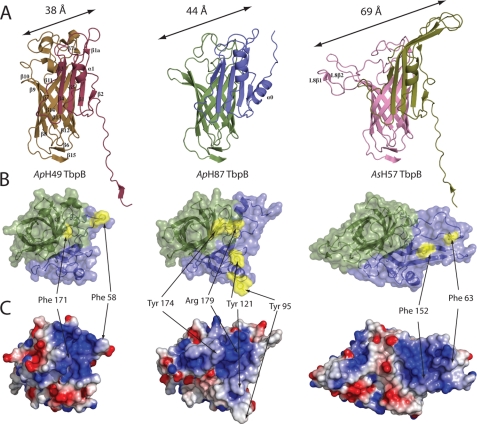 FIGURE 3.