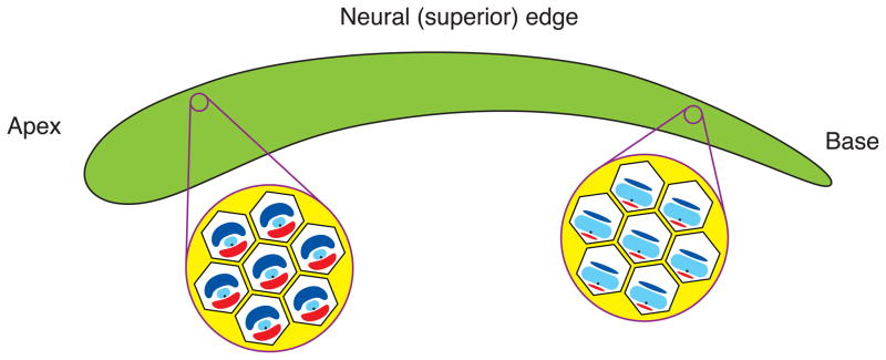 Figure 8