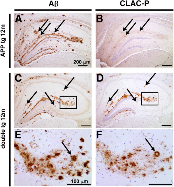 Fig. 4