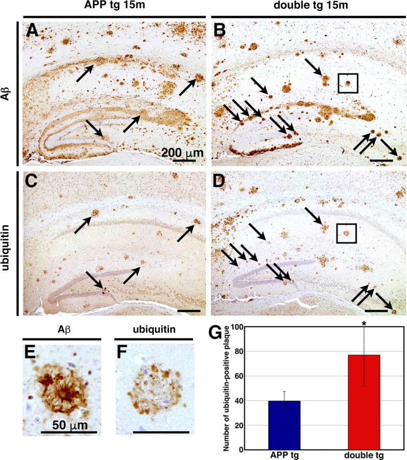 Fig. 7