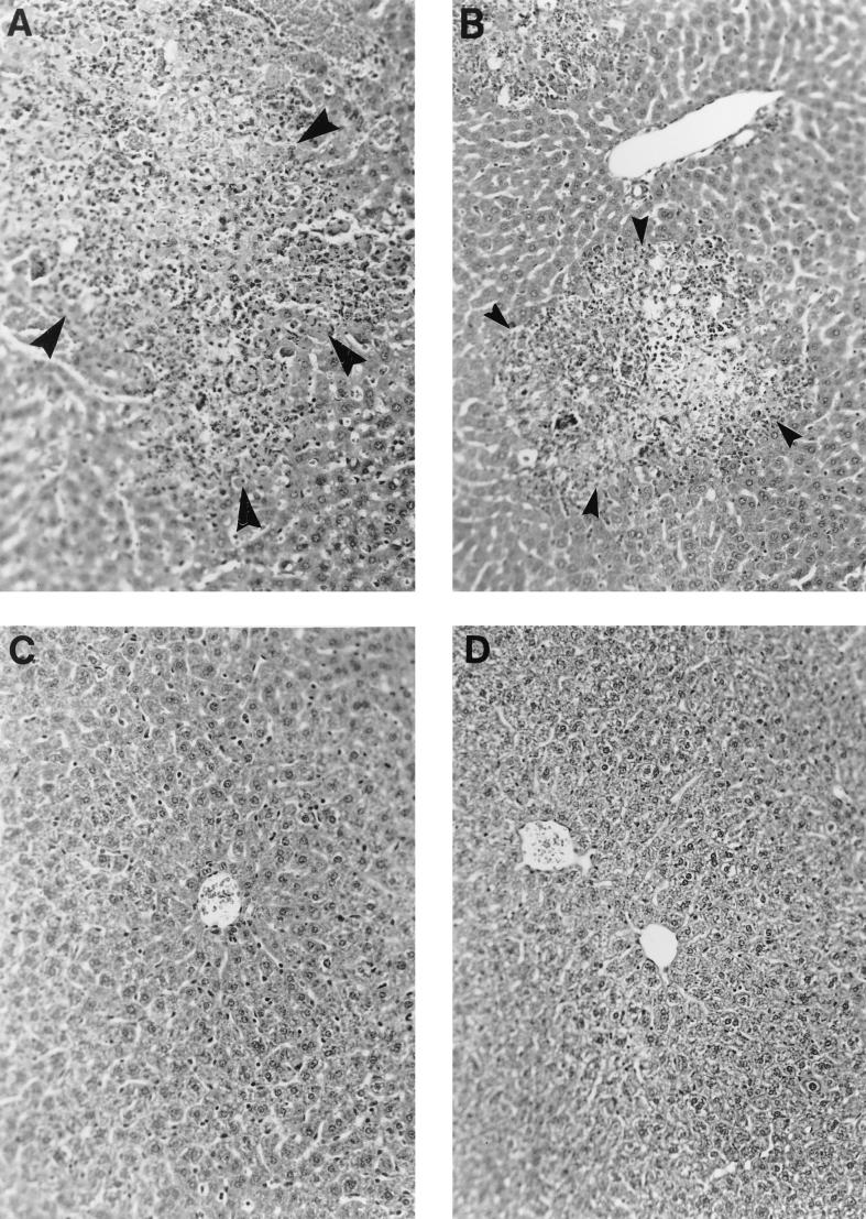 FIG. 6