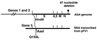 FIG. 1