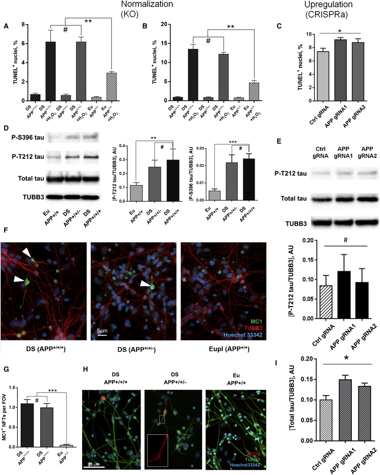 Figure 4