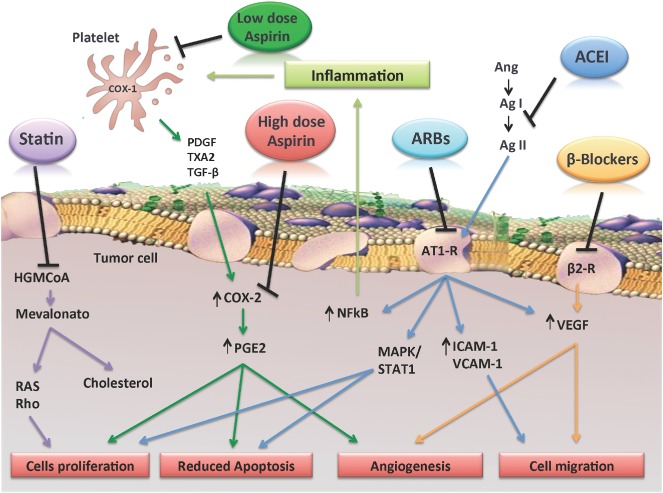 CLC-22394-FIG-0001-c