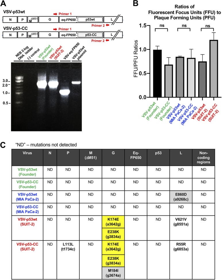 FIG 2