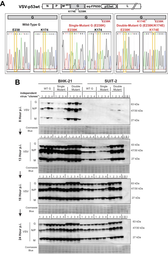 FIG 6