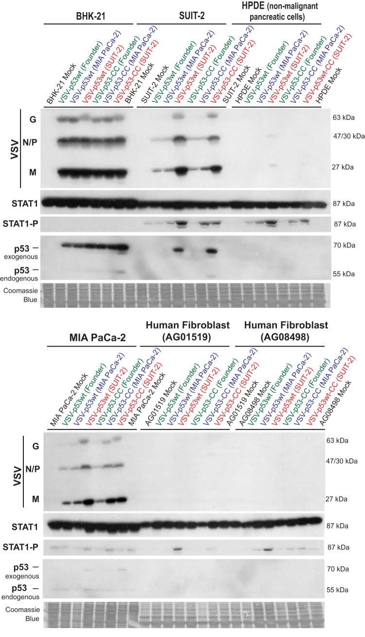 FIG 7