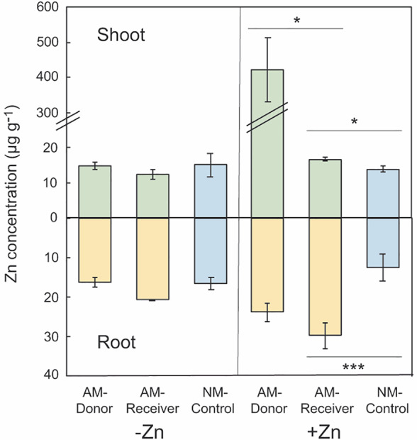 Fig. 2